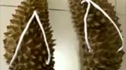 网红榴莲拖鞋,时尚与口味的完美融合